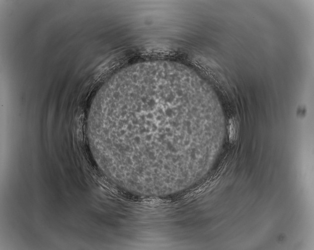 X0000098091059200805021040