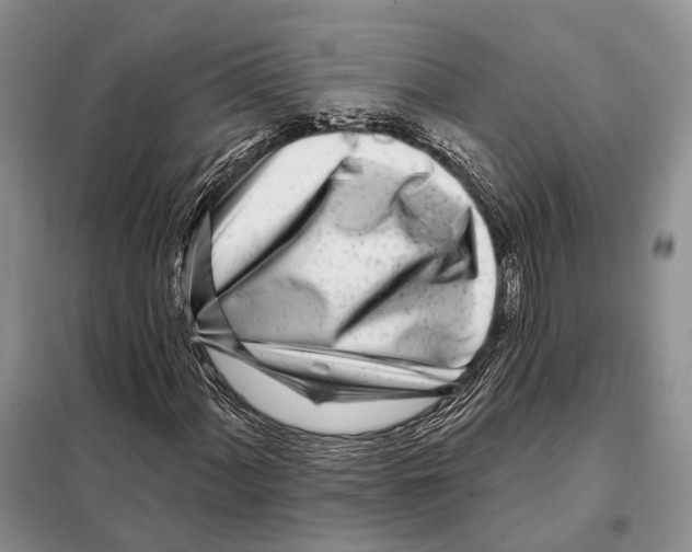 X0000098091060200805021040