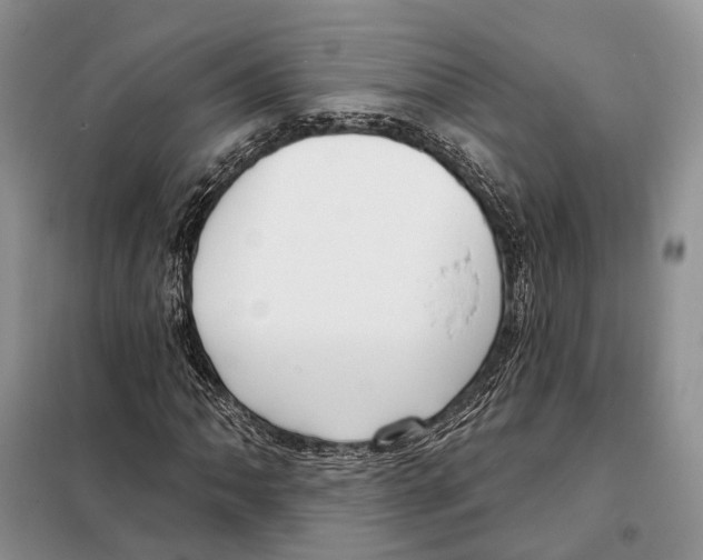 X0000098091062200805021040