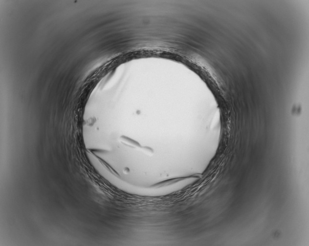 X0000098091064200805021040