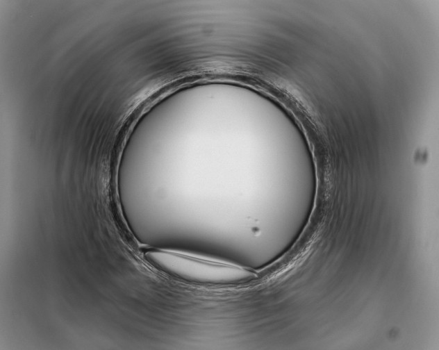 X0000098091065200805021040