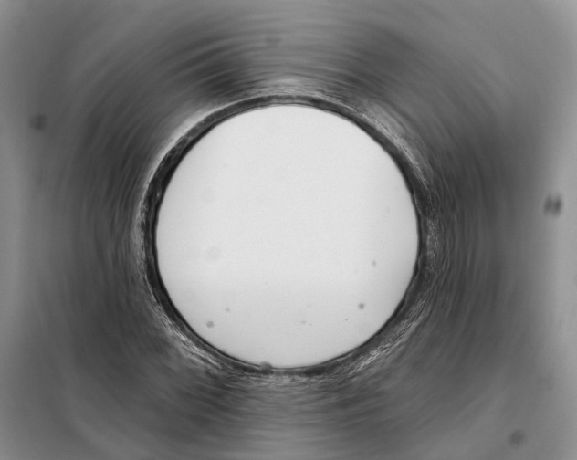 X0000098091068200805021040