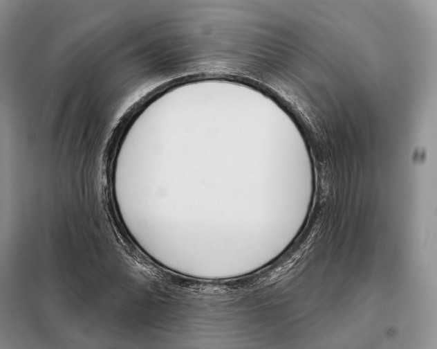 X0000098091070200805021040