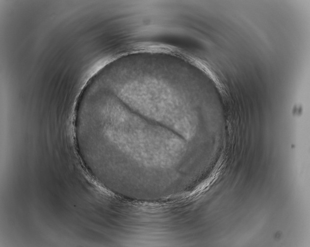 X0000098091071200805021040