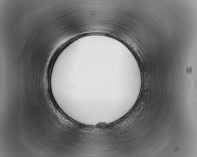 X0000098091072200805021040