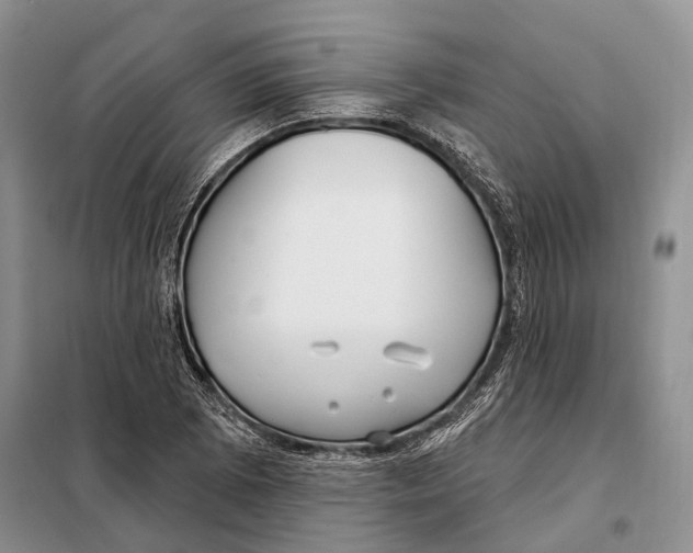 X0000098091073200805021040