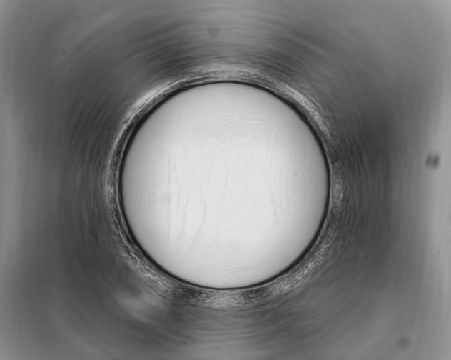 X0000098091074200805021040