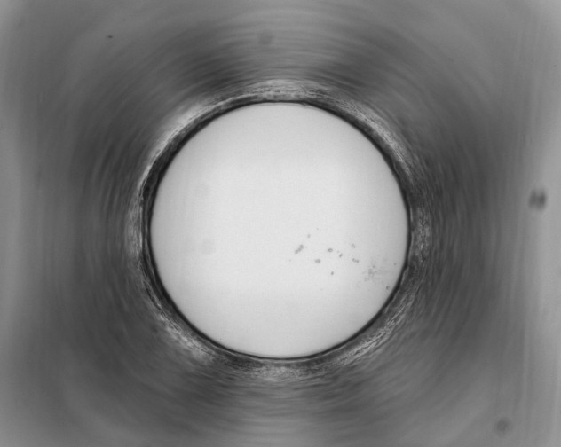 X0000098091075200805021040