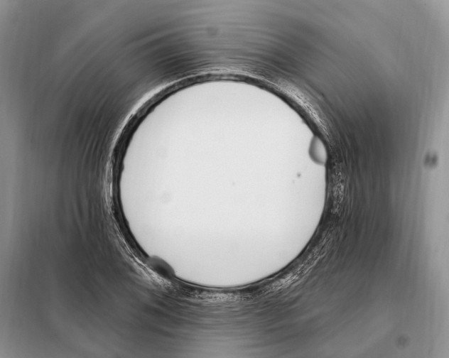 X0000098091076200805021040