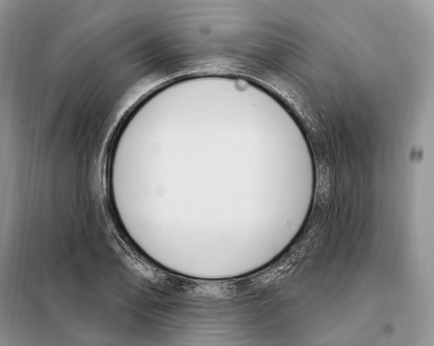 X0000098091078200805021040