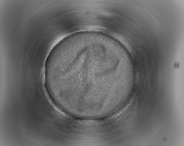 X0000098091079200805021040