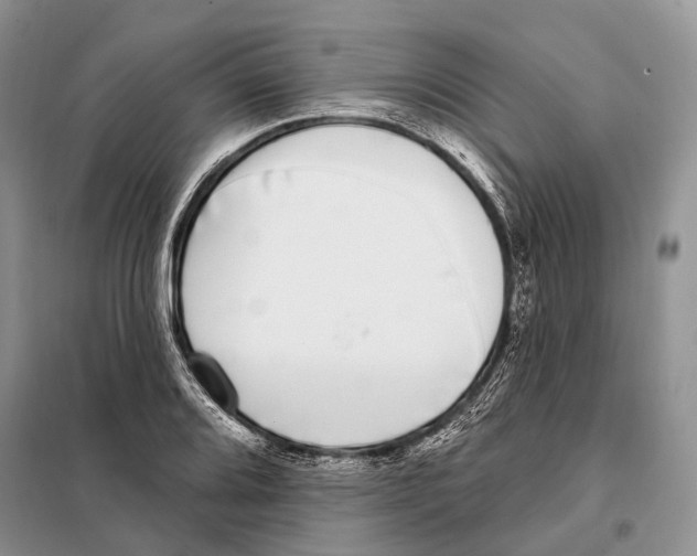 X0000098091080200805021040