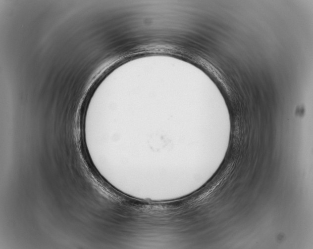 X0000098091082200805021040