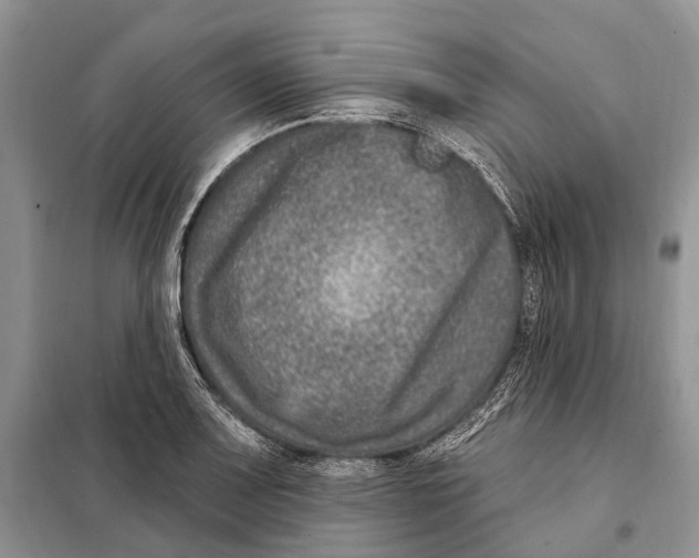 X0000098091083200805021040