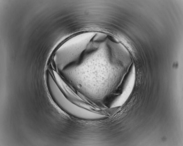 X0000098091084200805021040