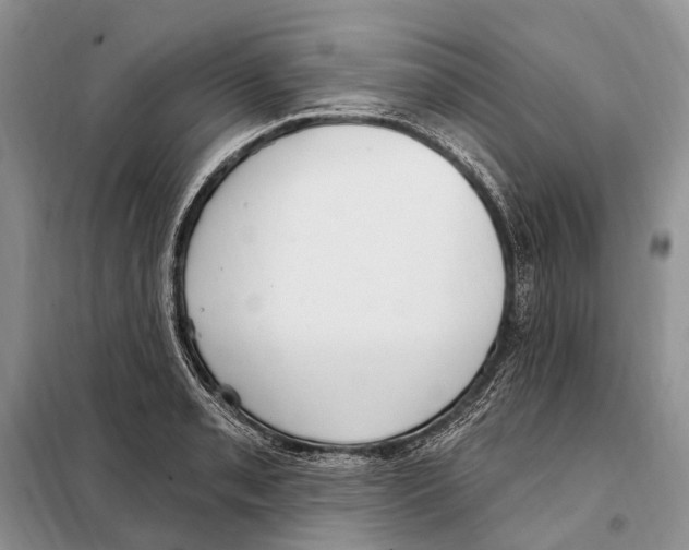 X0000098091085200805021040