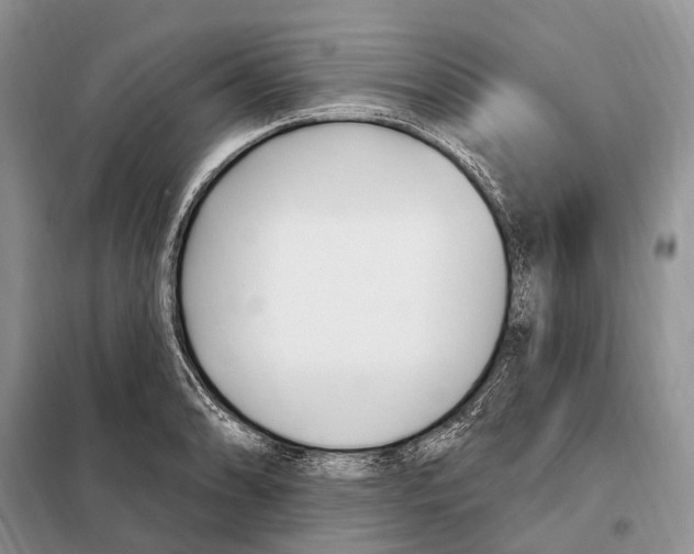 X0000098091086200805021040