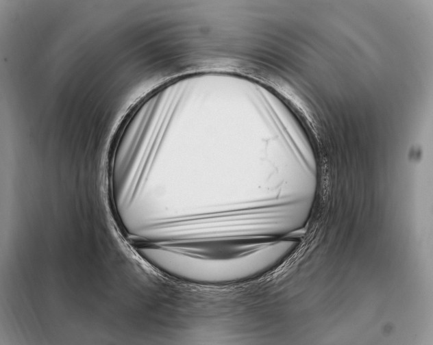 X0000098091088200805021040