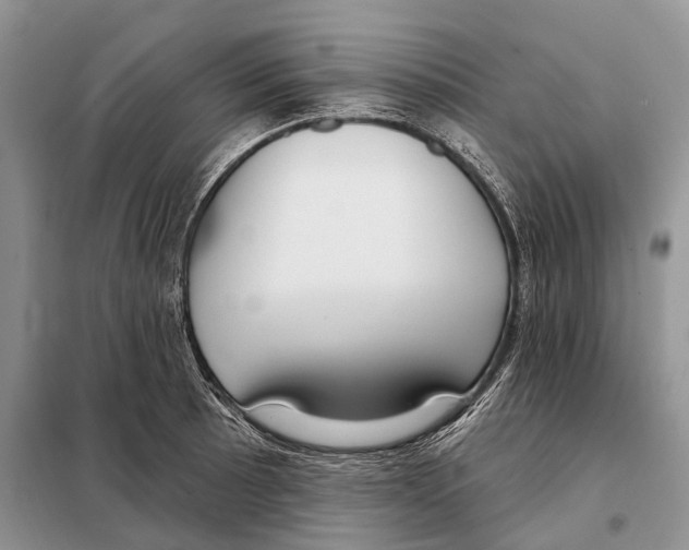 X0000098091089200805021040