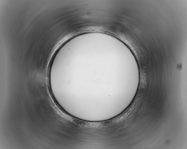 X0000098091090200805021040