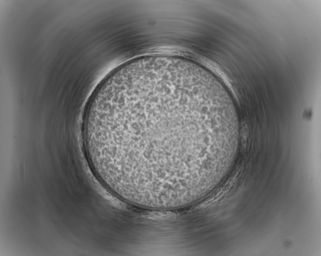 X0000098091091200805021040