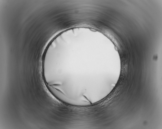 X0000098091092200805021040