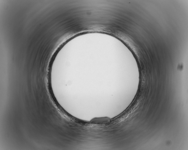 X0000098091093200805021040