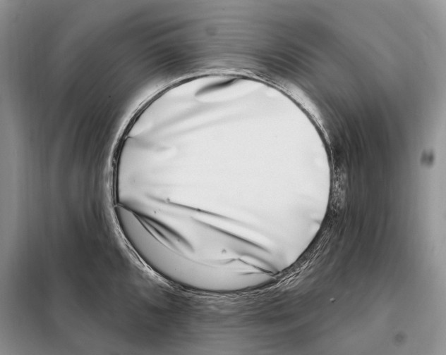 X0000098091096200805021040