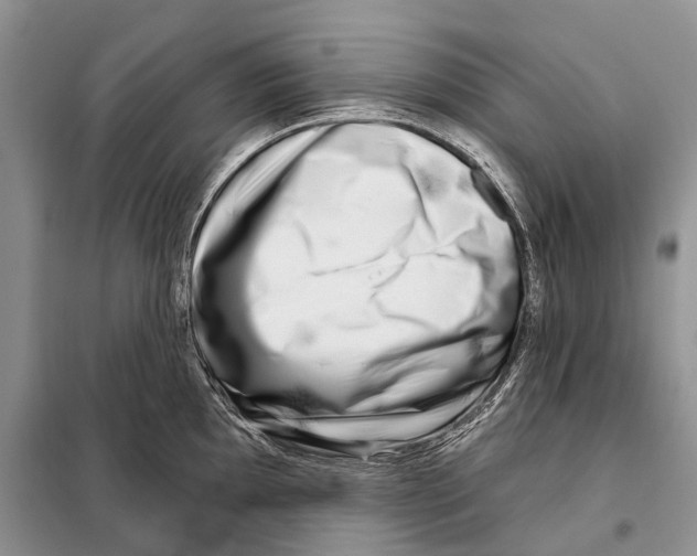 X0000098091097200805021040