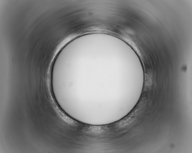 X0000098091098200805021040