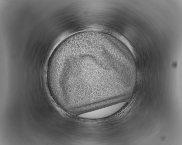 X0000098091099200805021040