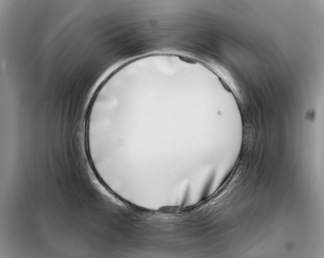 X0000098091100200805021040