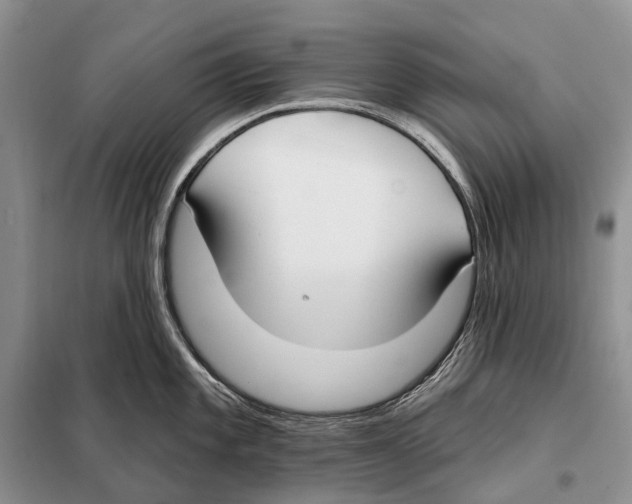 X0000098091101200805021040