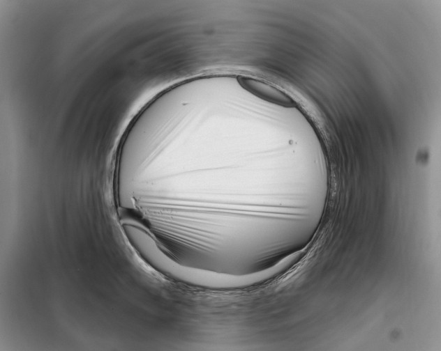 X0000098091102200805021040