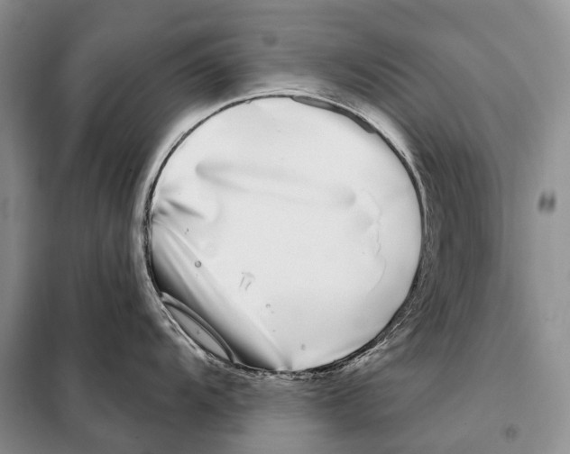 X0000098091104200805021040