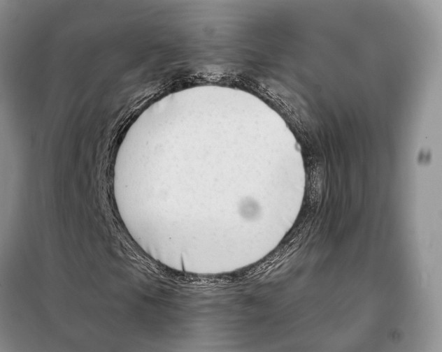 X0000098091105200805021039