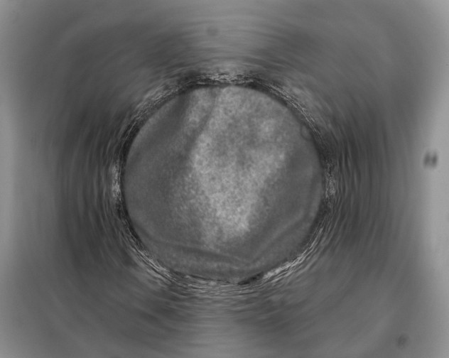 X0000098091106200805021039