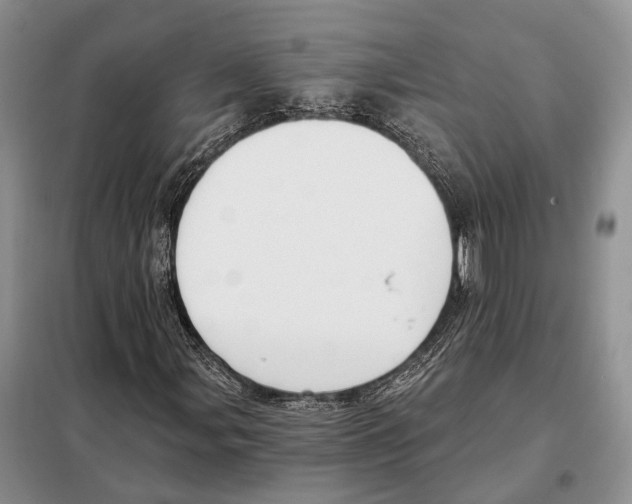 X0000098091107200805021039