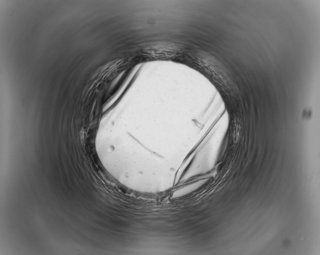 X0000098091108200805021039