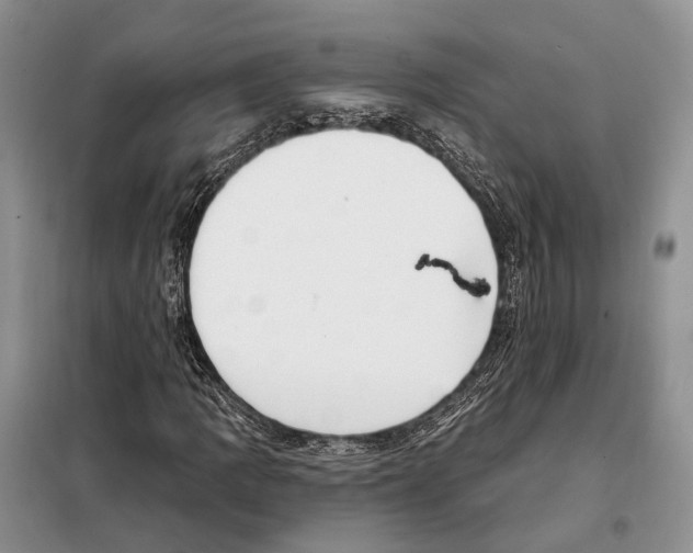 X0000098091109200805021039