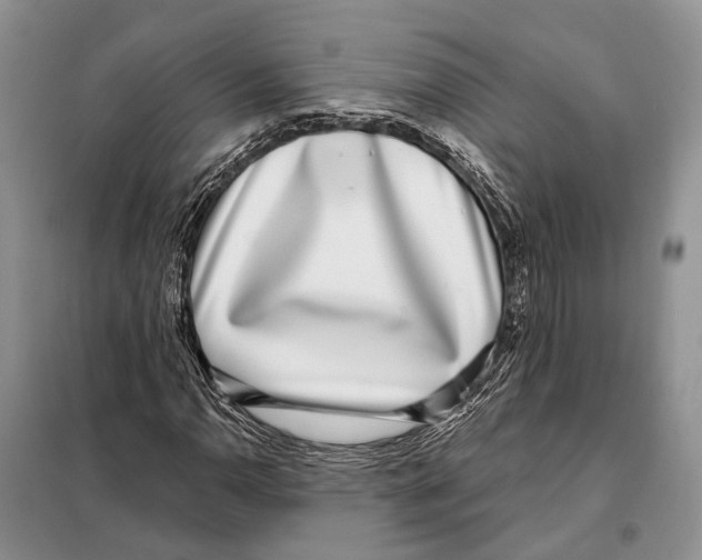 X0000098091110200805021039