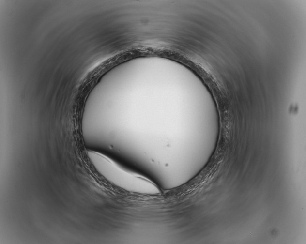 X0000098091112200805021039