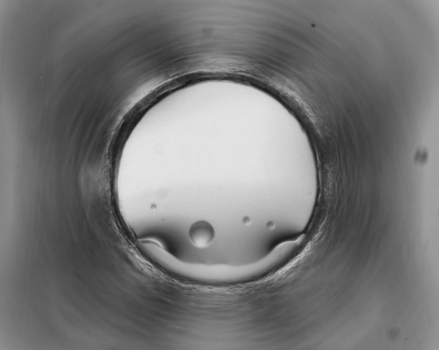 X0000098091114200805021039