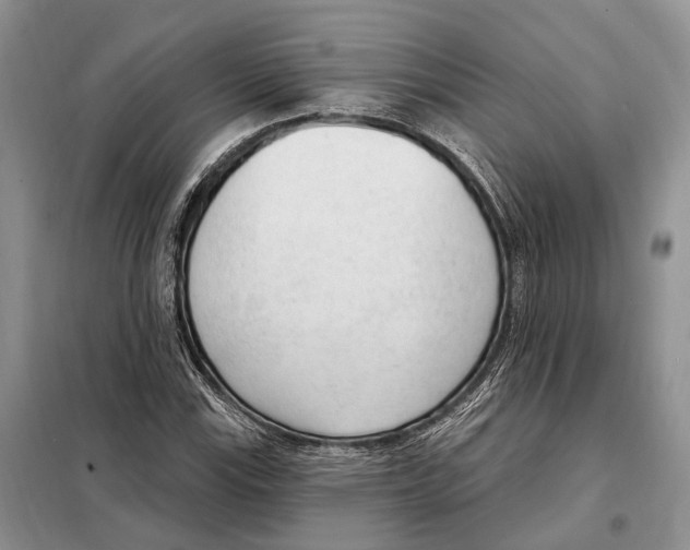 X0000098091115200805021039