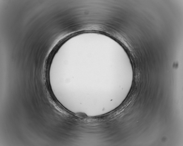 X0000098091116200805021039