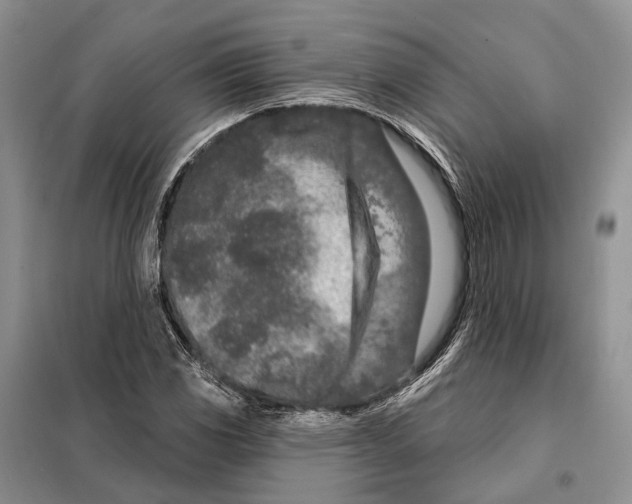 X0000098091117200805021039