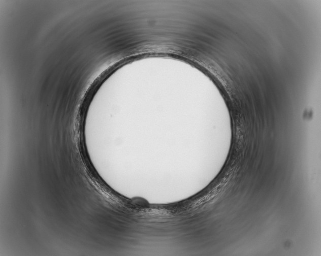 X0000098091119200805021039