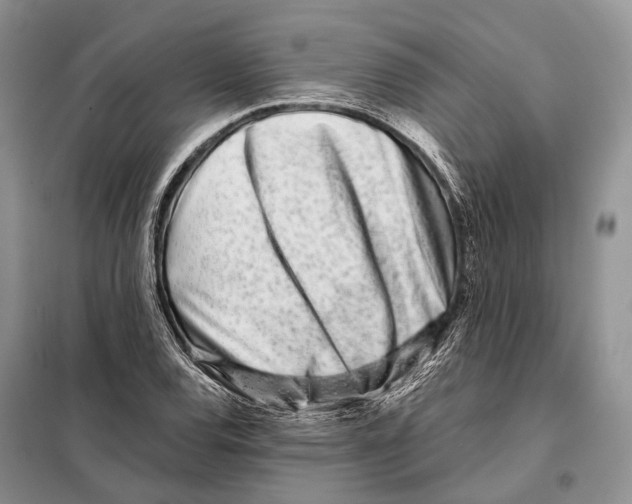 X0000098091120200805021039