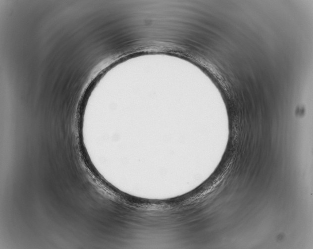 X0000098091122200805021039