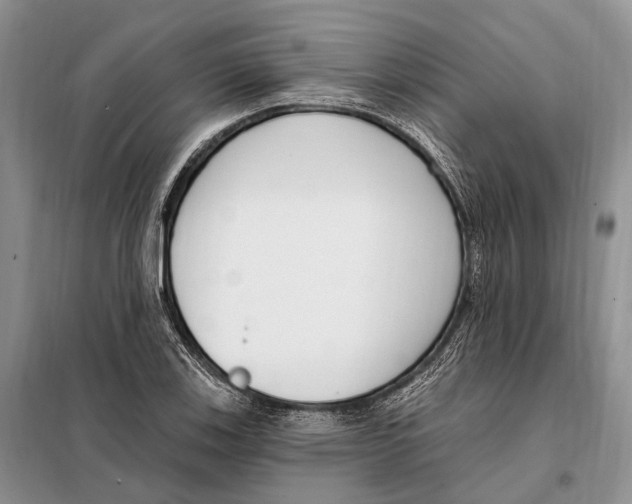 X0000098091123200805021039